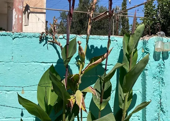 Adorable Village Retreat Deryneia Apartmán Dherinia